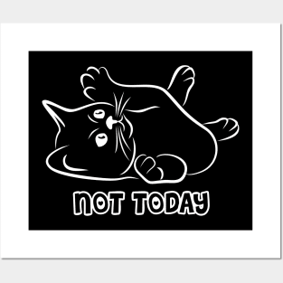 cats not today Posters and Art